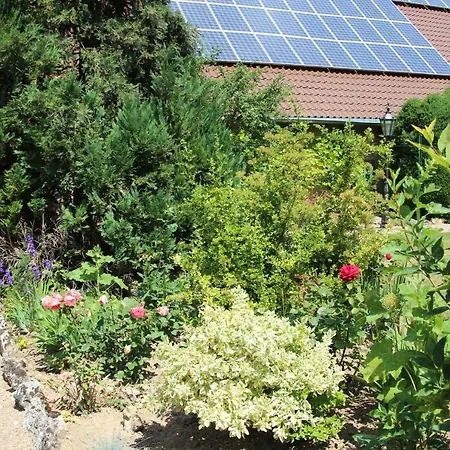 招待所 Bio-weingut, Gaestehaus Und Kraeuterhof 3*