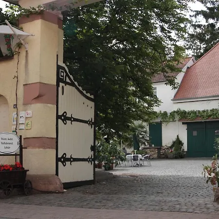 Bio-weingut, Gaestehaus Und Kraeuterhof ゲストハウス