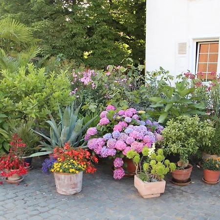 ゲストハウス Bio-weingut, Gaestehaus Und Kraeuterhof Flomborn