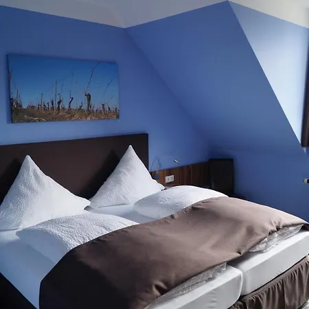 Bio-weingut, Gaestehaus Und Kraeuterhof ゲストハウス Flomborn