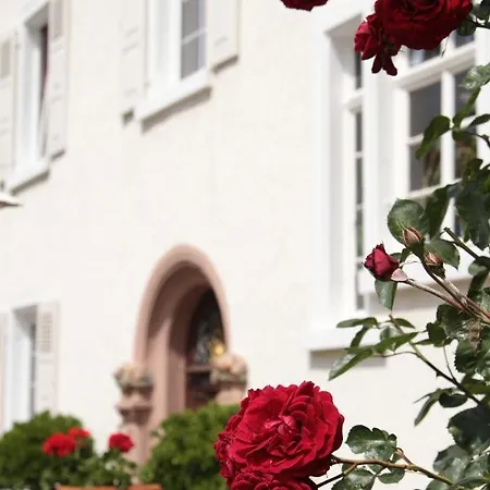 ゲストハウス Bio-weingut, Gaestehaus Und Kraeuterhof *