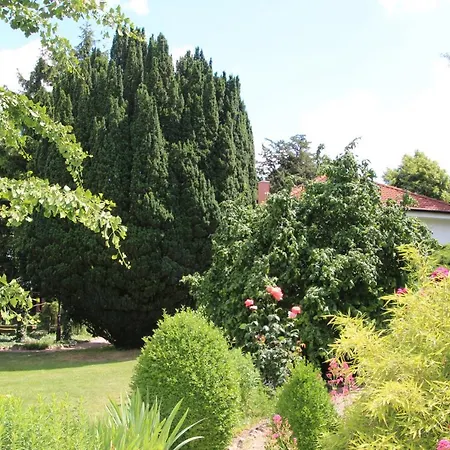 ゲストハウス Bio-weingut, Gaestehaus Und Kraeuterhof Flomborn