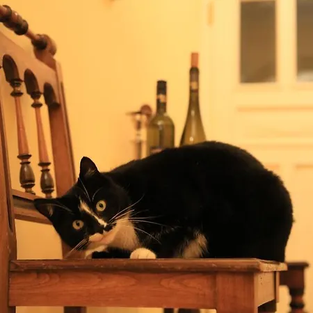 ゲストハウス Bio-weingut, Gaestehaus Und Kraeuterhof