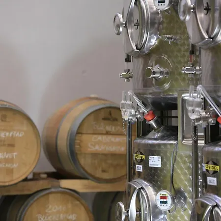 ゲストハウス Bio-weingut, Gaestehaus Und Kraeuterhof Flomborn