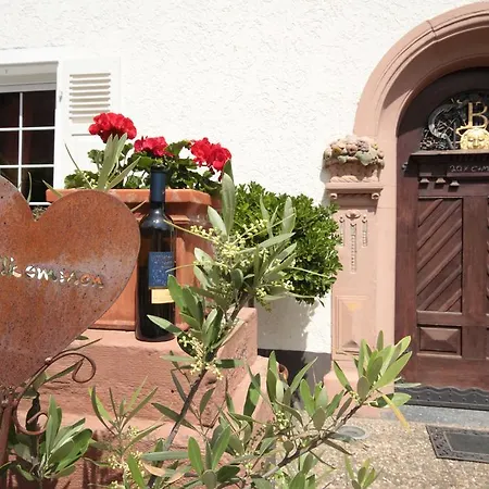 Bio-weingut, Gaestehaus Und Kraeuterhof 3*