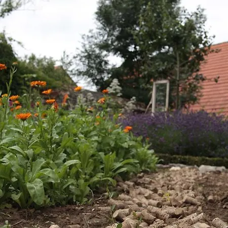 Bio-weingut, Gaestehaus Und Kraeuterhof ゲストハウス 3*