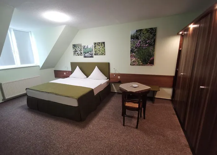 Bio-weingut, Gaestehaus Und Kraeuterhof 3*