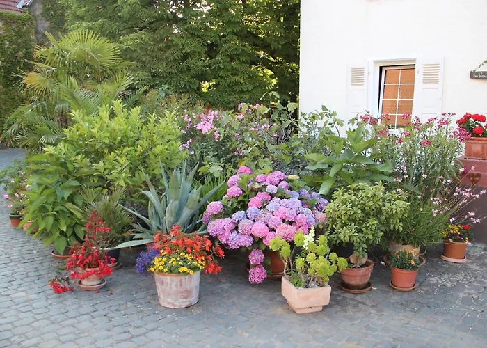 Affittacamere Bio-weingut, Gaestehaus Und Kraeuterhof Flomborn