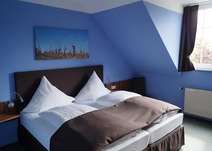 Bio-weingut, Gaestehaus Und Kraeuterhof Affittacamere Flomborn