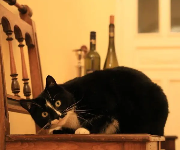 Affittacamere Bio-weingut, Gaestehaus Und Kraeuterhof