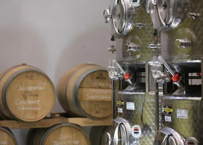 Affittacamere Bio-weingut, Gaestehaus Und Kraeuterhof Flomborn