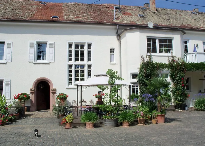 Bio-weingut, Gaestehaus Und Kraeuterhof Affittacamere