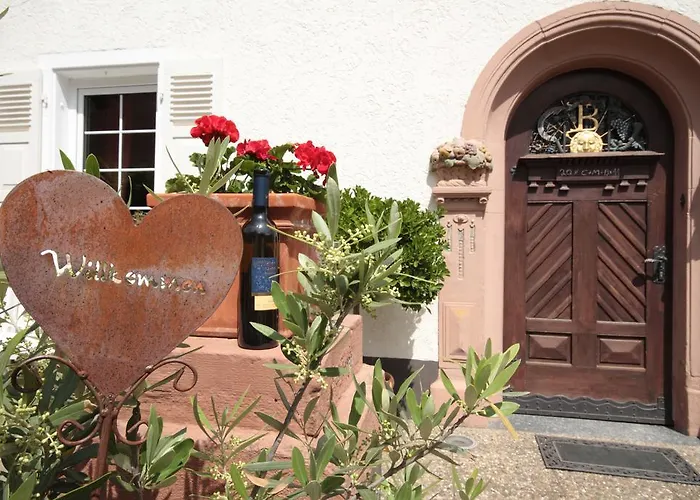 Bio-weingut, Gaestehaus Und Kraeuterhof 3*