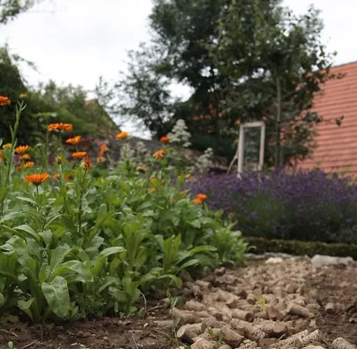 Bio-weingut, Gaestehaus Und Kraeuterhof Affittacamere 3*